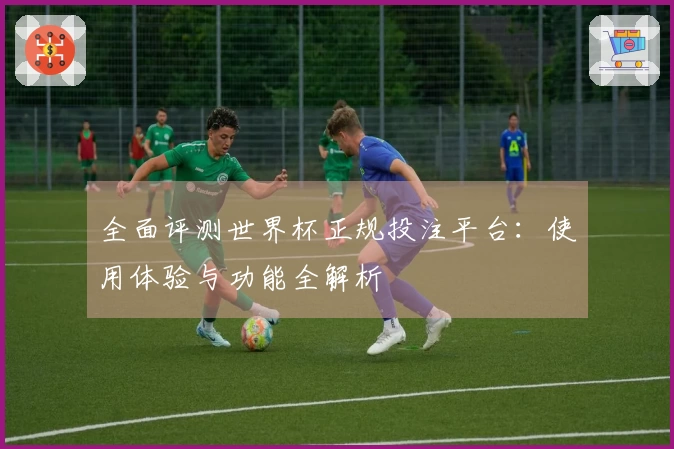 全面评测世界杯正规投注平台：使用体验与功能全解析